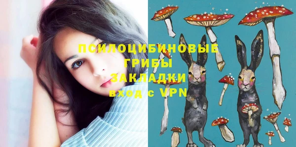 СК Алексеевка